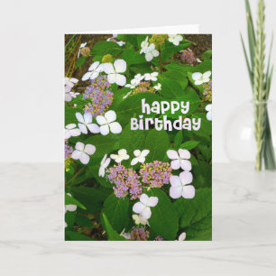 Hydrangea Aspera födelsedag Kort
