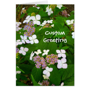 Hydrangea Aspera-mall Hälsningskort