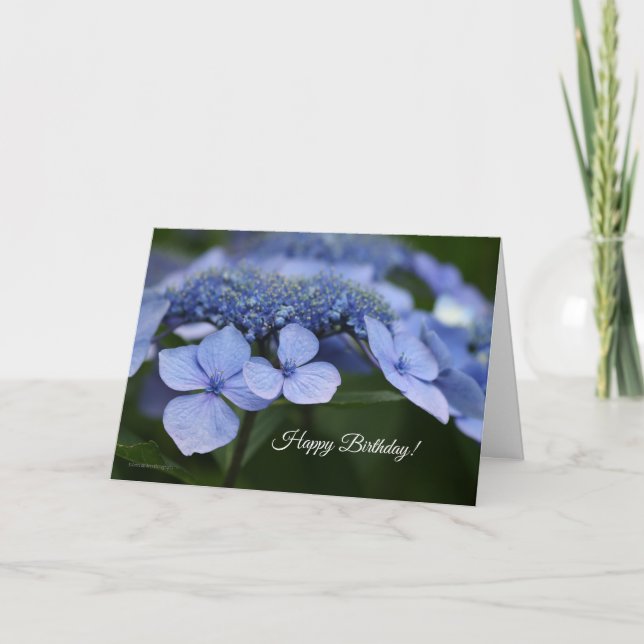 Hydrangea Birthday Card Kort (Framsida)