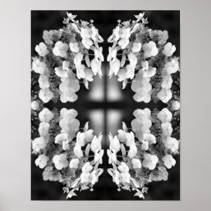 Hydrangea Black and White Spegel Abstrakt Poster