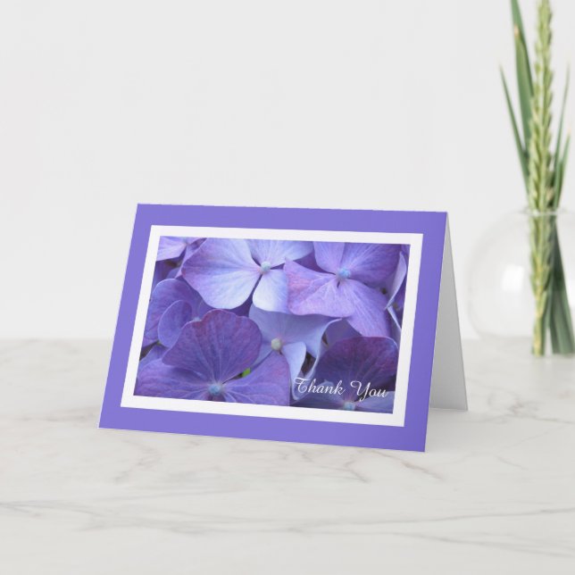 Hydrangea Blanka tackkort (Framsida)