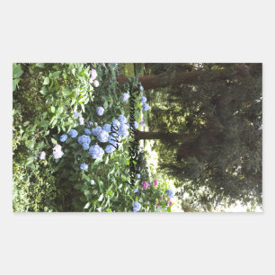 Hydrangea Blommigt Träd Natur Fotografi Rektangulärt Klistermärke