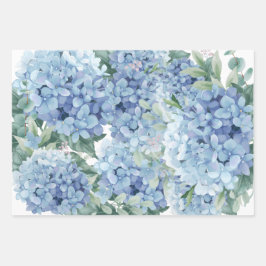 Hydrangea blommor