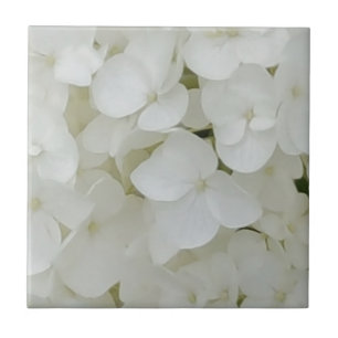 Hydrangea Blommor Blommigt Vit Elegant Blommar Kakelplatta