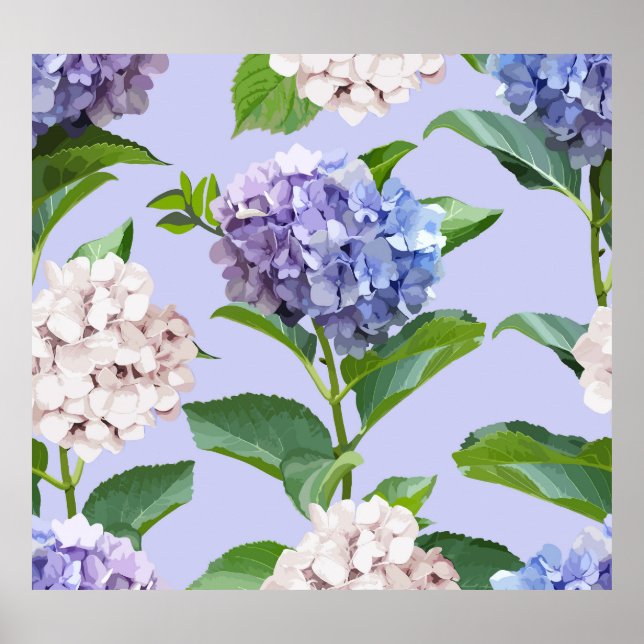 Hydrangea-blommor: multifärgad blommigt struktur. poster (Framsidan)