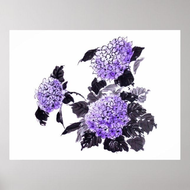 Hydrangea blommor sumie poster (Framsidan)