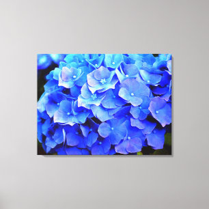 Hydrangea Blues Canvastryck