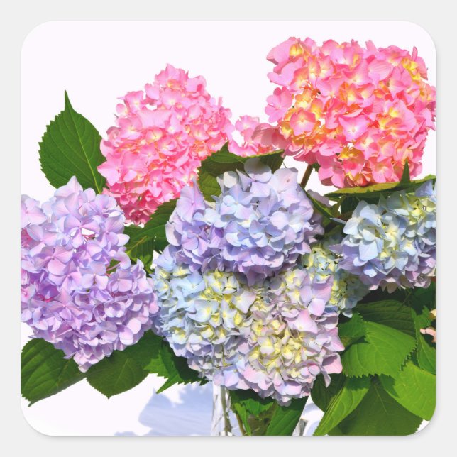 Hydrangea Bouquet Fyrkantigt Klistermärke (Framsida)