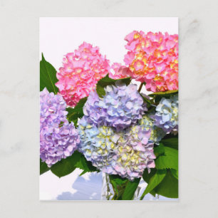 Hydrangea Bouquet Vykort