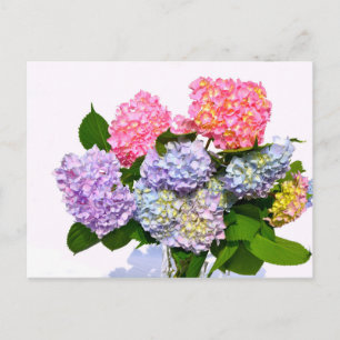 Hydrangea Bouquet Vykort