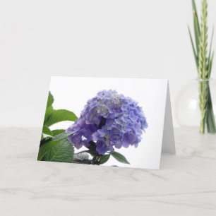 Hydrangea Bush-hälsningskort Kort