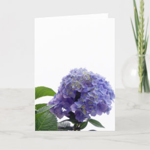 Hydrangea Bush-hälsningskort Kort
