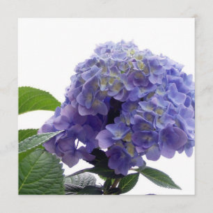 Hydrangea Bush-inbjudningar Inbjudningar