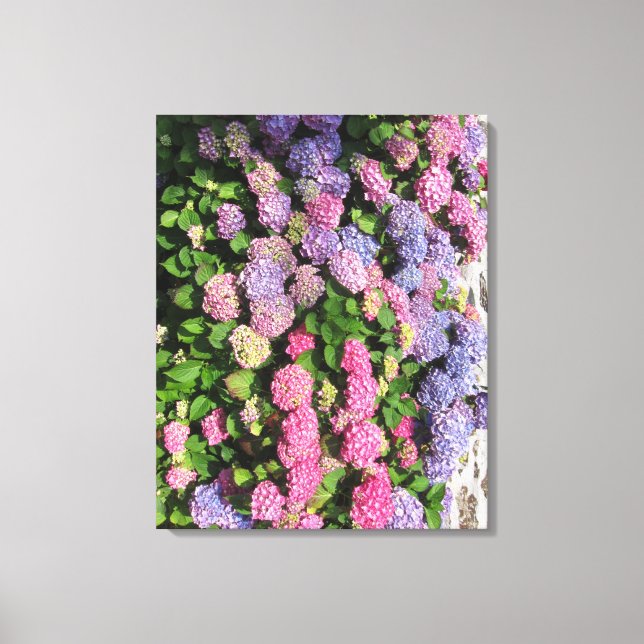 Hydrangea bush Toile tendue Canvastryck (Framsida)