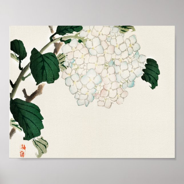 Hydrangea by Kōno Bairei Poster (Framsidan)