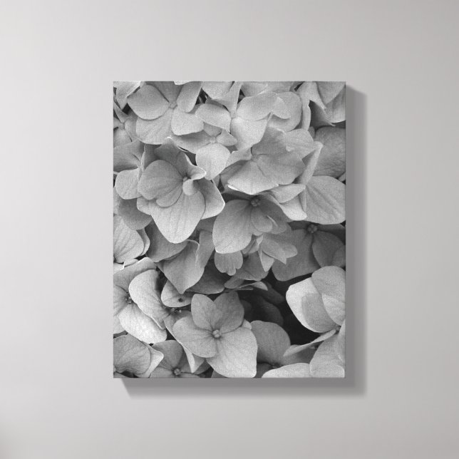 Hydrangea Canvastryck (Framsida)