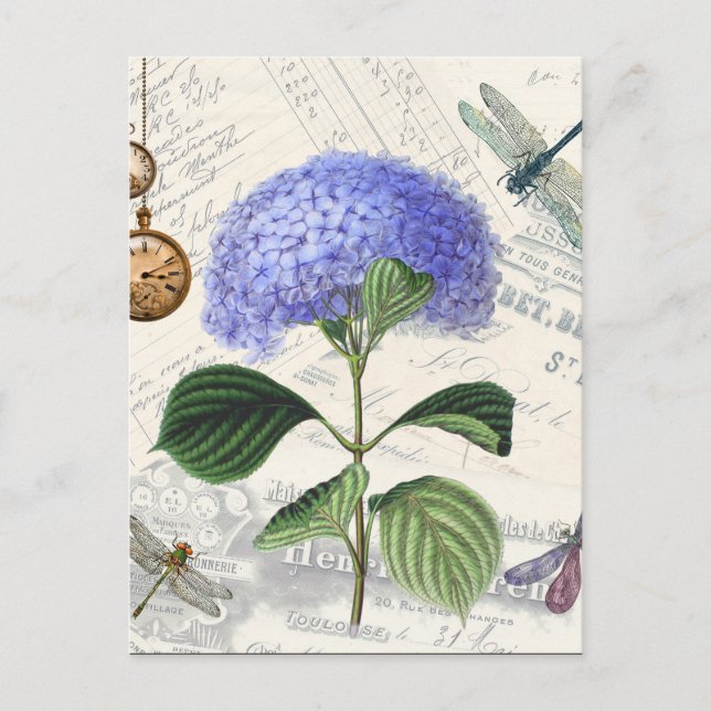 Hydrangea Collage Vykort (Framsida)