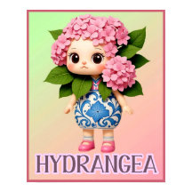 HYDRANGEA DOCKA