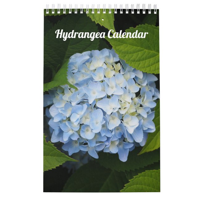 Hydrangea en sida kalender (Omslag)