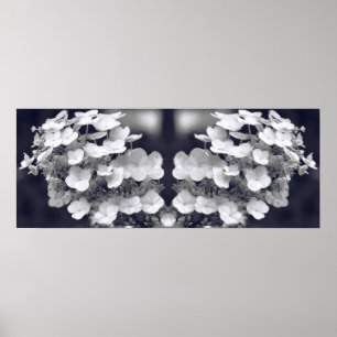 Hydrangea Flower Black and White Spegel Abstrakt Poster