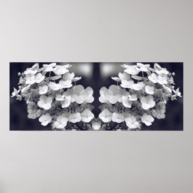 Hydrangea Flower Black and White Spegel Abstrakt Poster (Framsidan)
