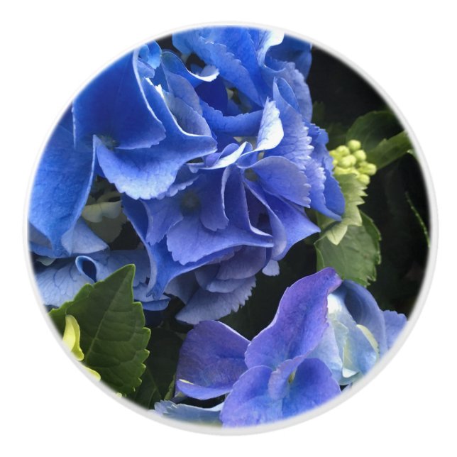 Hydrangea Flower Drawer Pulls Blue Lila & Grönt Knopp (Framsidan)