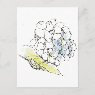 Hydrangea Flower Pen och Bläck Teckning Vykort