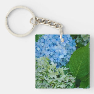 Hydrangea Flowers