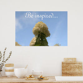 Hydrangea Flowers Blå himmel Poster