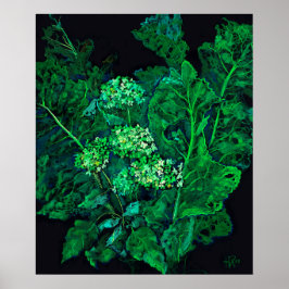 Hydrangea Flowers & Horseradish Blommigt Black Grö Poster