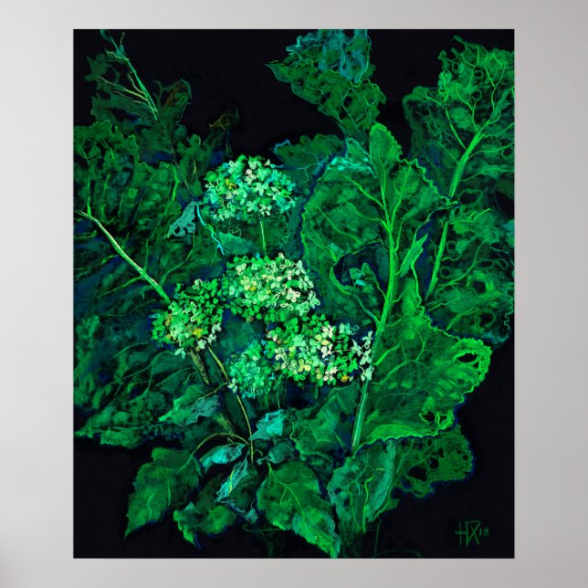 Hydrangea Flowers & Horseradish Blommigt Black Grö Poster (Framsidan)