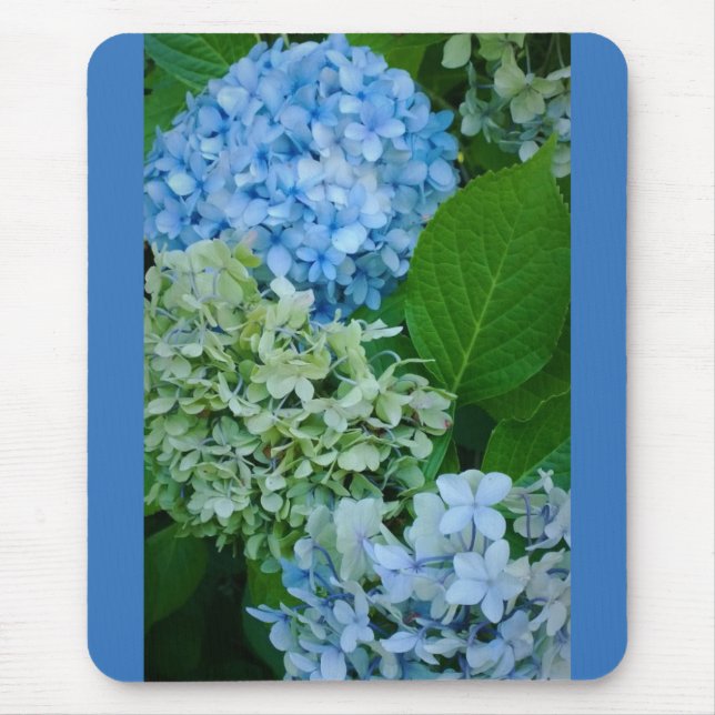 Hydrangea Flowers Musmatta (Framsidan)