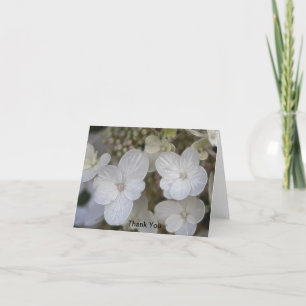 Hydrangea Flowers Tack Kort