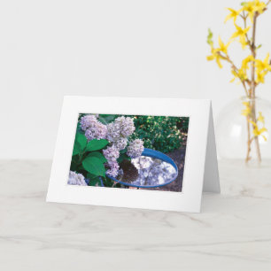 Hydrangea-fotokort Kort