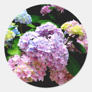 Hydrangea Garden Runt Klistermärke