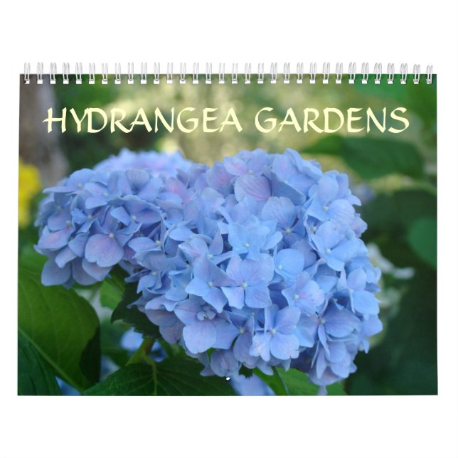 HYDRANGEA GARDENS Calendar Blue Hydrangeas Kalender (Omslag)