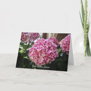 Hydrangea Get well Card Kort
