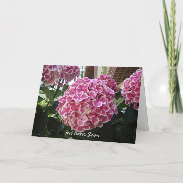 Hydrangea Get well Card Kort (Framsida)