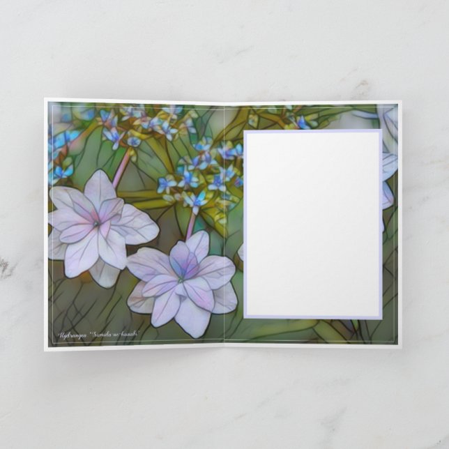 Hydrangea [gratulationskort] カ ー kort (Inuti)