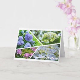 Hydrangea [Greeting Card] カード Kort