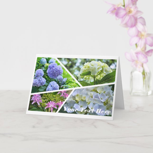 Hydrangea [Greeting Card] カード Kort (Orkide)