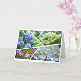 Hydrangea [Greeting Card] カード Kort