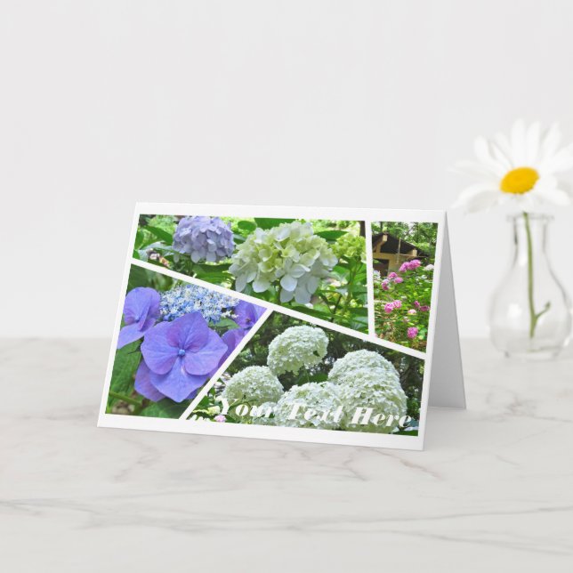 Hydrangea [Greeting Card] カード Kort (Liten växt)