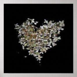Hydrangea Heart Botanisk Affisch