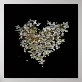 Hydrangea Heart Botanisk Affisch