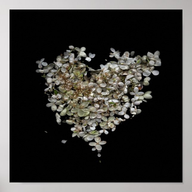 Hydrangea Heart Botanisk Affisch (Framsidan)
