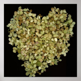 Hydrangea Heart Botanisk Affisch |Lovely2