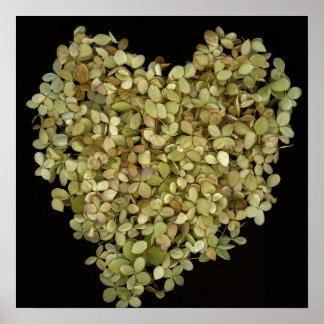 Hydrangea Heart Botanisk Affisch |Lovely2