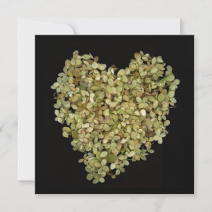Hydrangea Heart Botaniska Notkort Fyrkantig