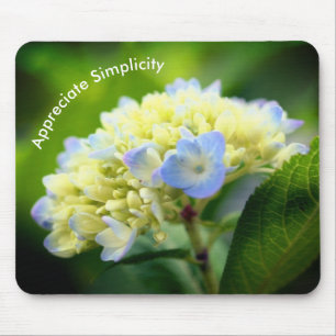 Hydrangea Inspirational Simplicit Musmatta